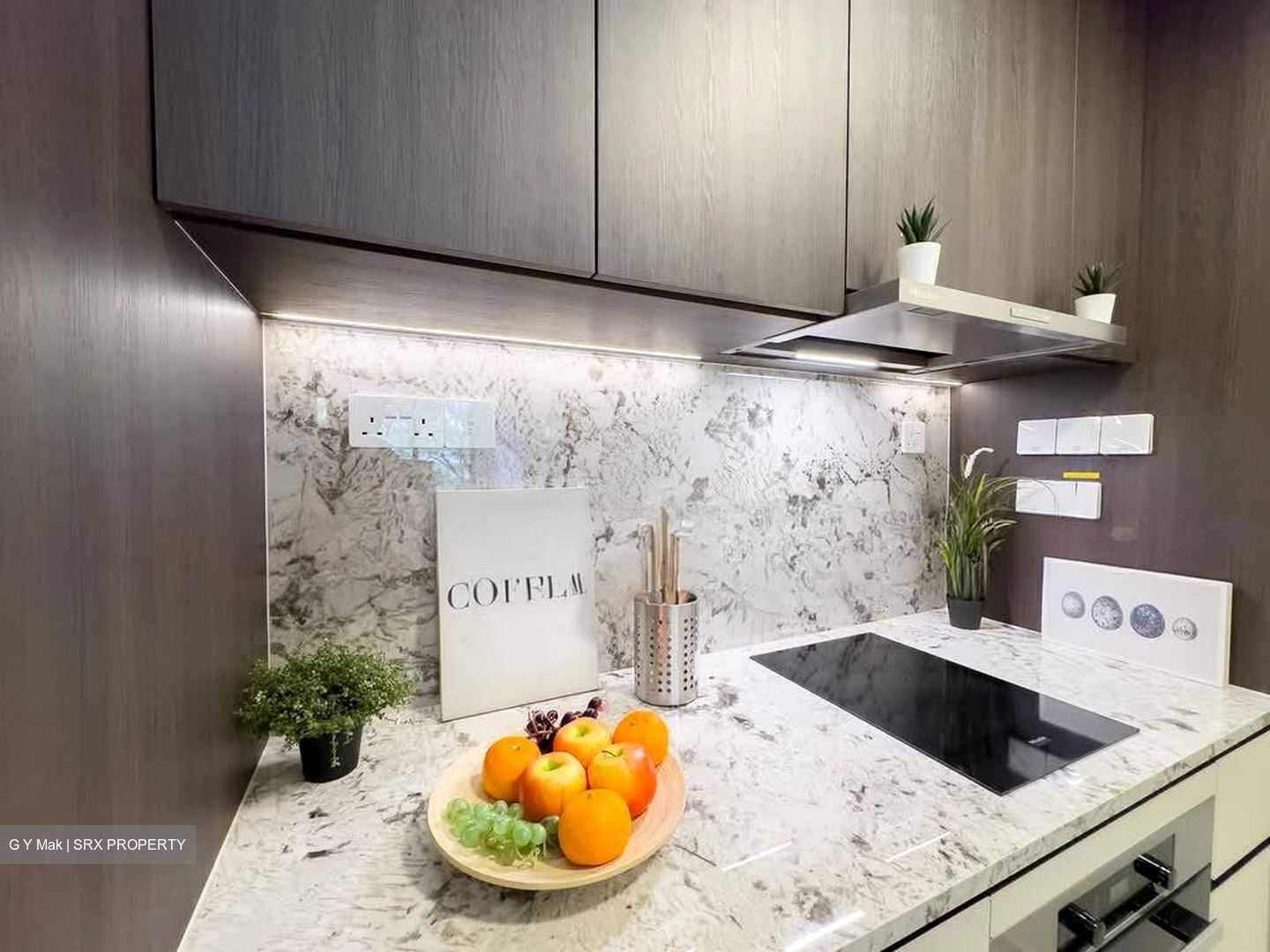 Tembusu Grand (D15), Condominium #584966991